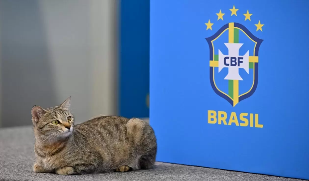 Rueda de prensa Brasil, Qatar 2022