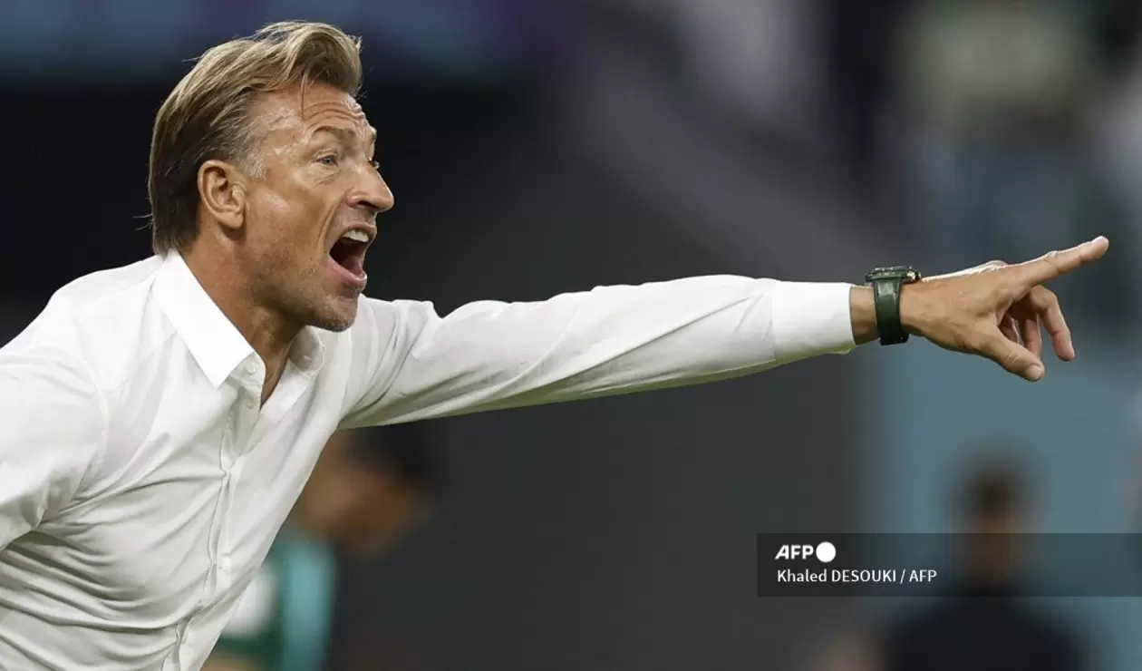 Hervé Renard, director técnico