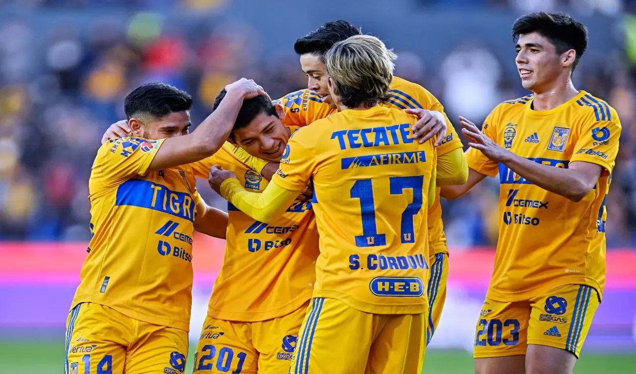 Tigres Copa sky